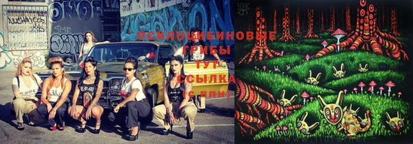 марки lsd Бронницы
