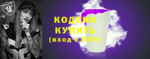 мдпв Богородск
