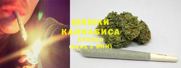 мдпв Богородск