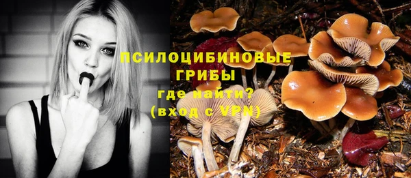 альфа пвп Богданович