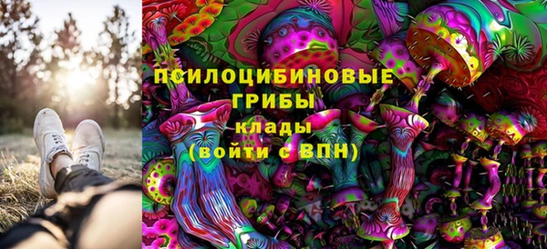 таблы Богородицк