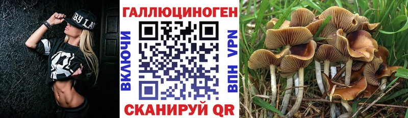 Галлюциногенные грибы GOLDEN TEACHER  мега зеркало  Катав-Ивановск 