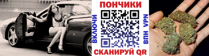 Канабис гибрид хочу наркоту Катав-Ивановск